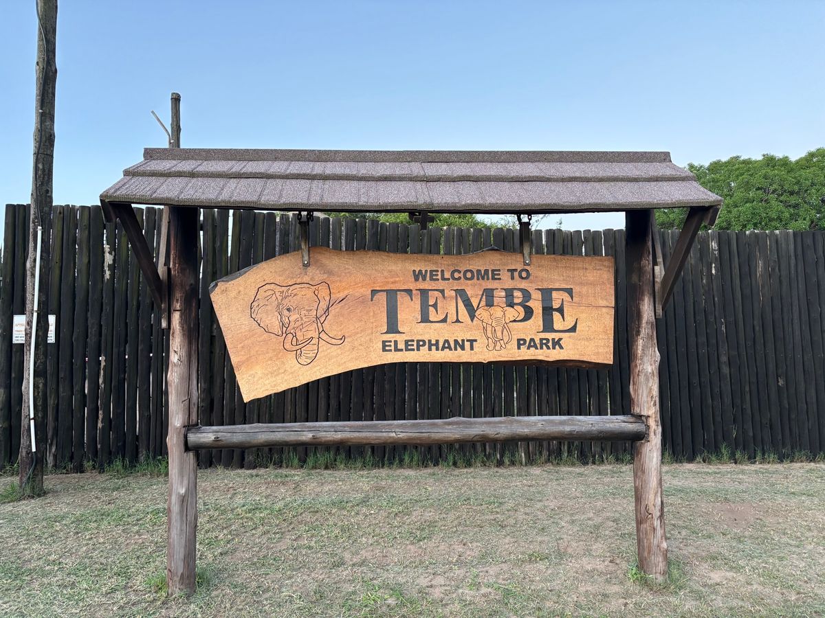 テンベ象🐘公園へ。象を一生分見れました。ただ、残念ながら象以外の動物はほと...