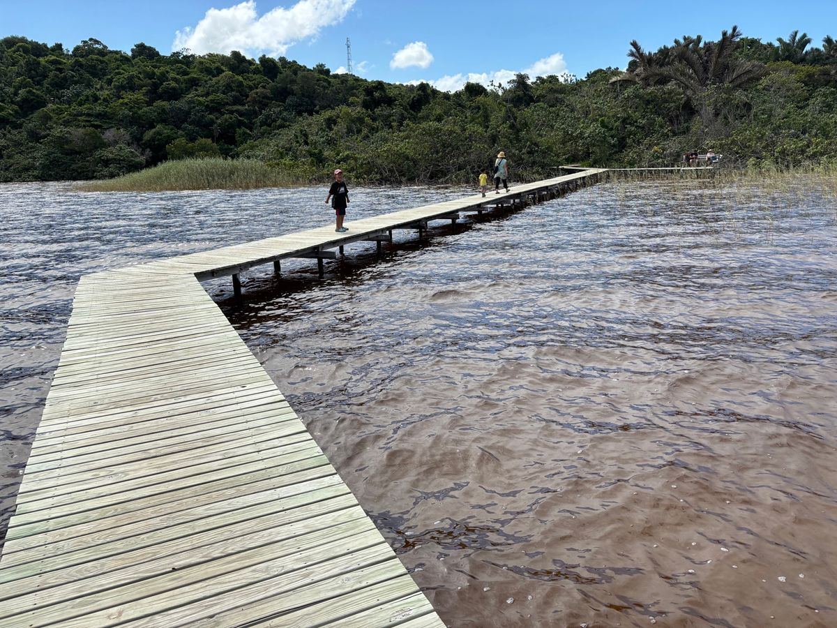 イシマンガリソ湿地公園の中のkosi bayへ。一人400ランドで3時間の...