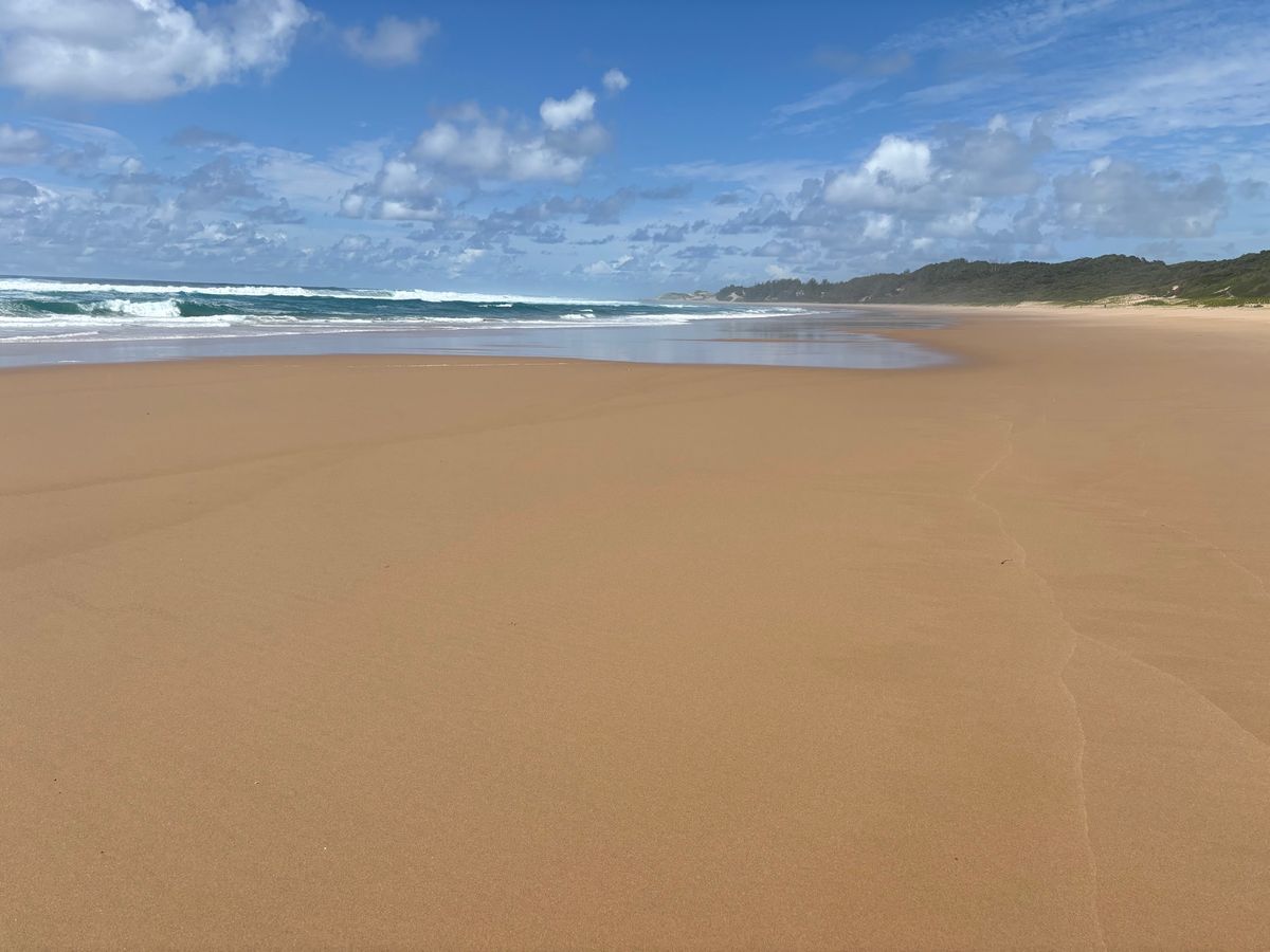 世界遺産になっているイシマンガリソ湿地公園のCoastal Forestへ...