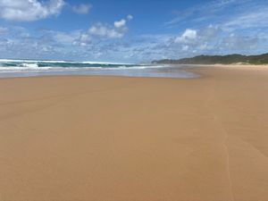 世界遺産になっているイシマンガリソ湿地公園のCoastal Forestへ...