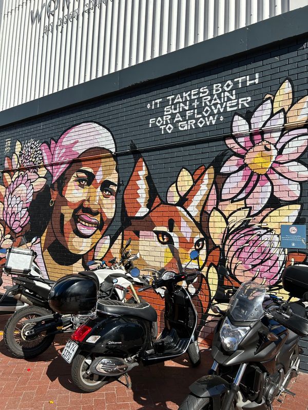 南アフリカ・ケープタウン「ケープタウン旅行」の写真