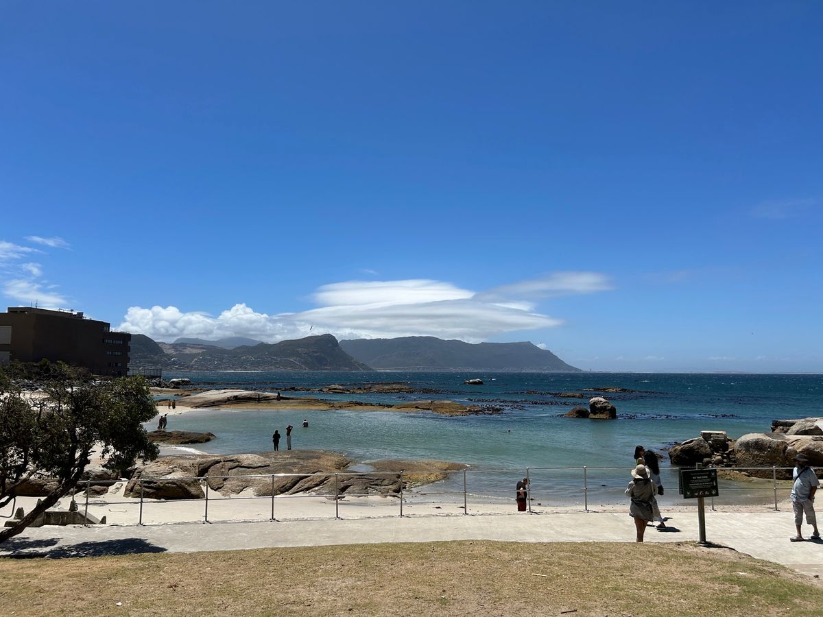 ケープペンギンに会えるBoulders Beach🐧
