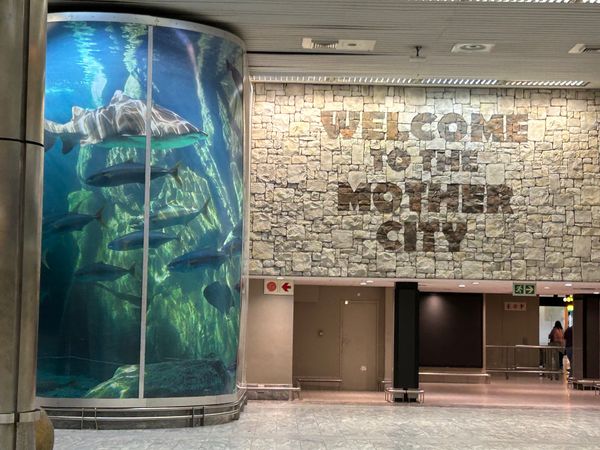 南アフリカ・ケープタウン「ケープタウン旅行」の写真