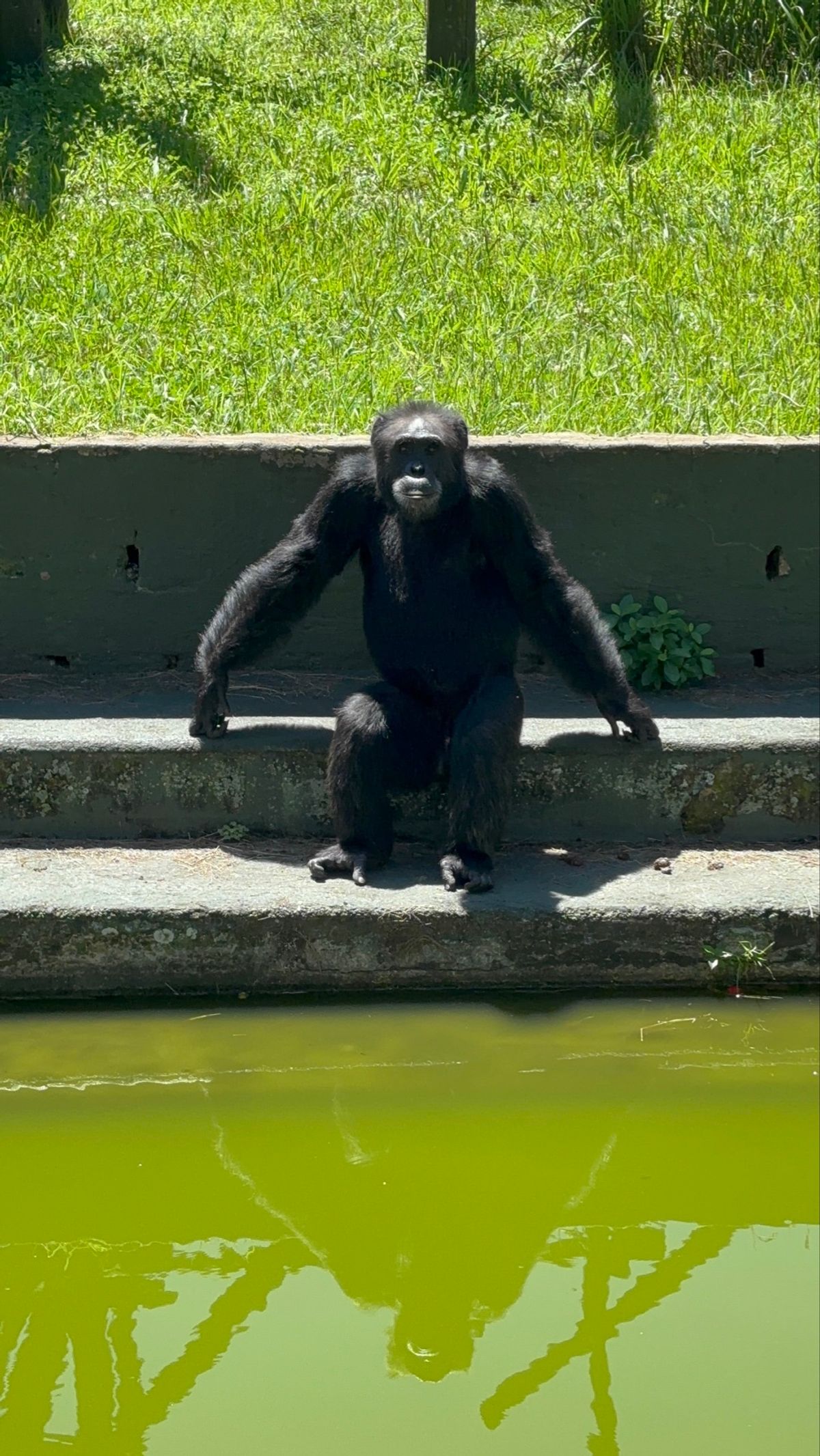 Natal Zoological Gardens
ライオンパークの隣にある...