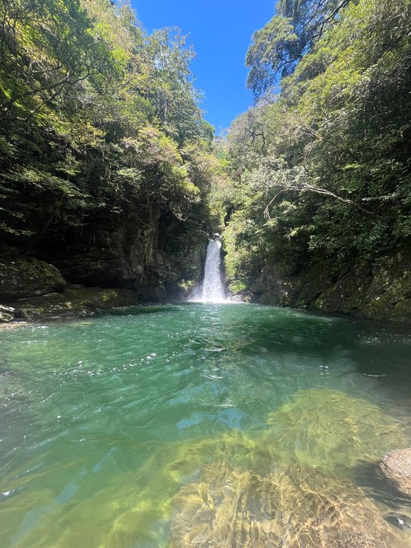 日本・桂浜「高知県中部」の写真