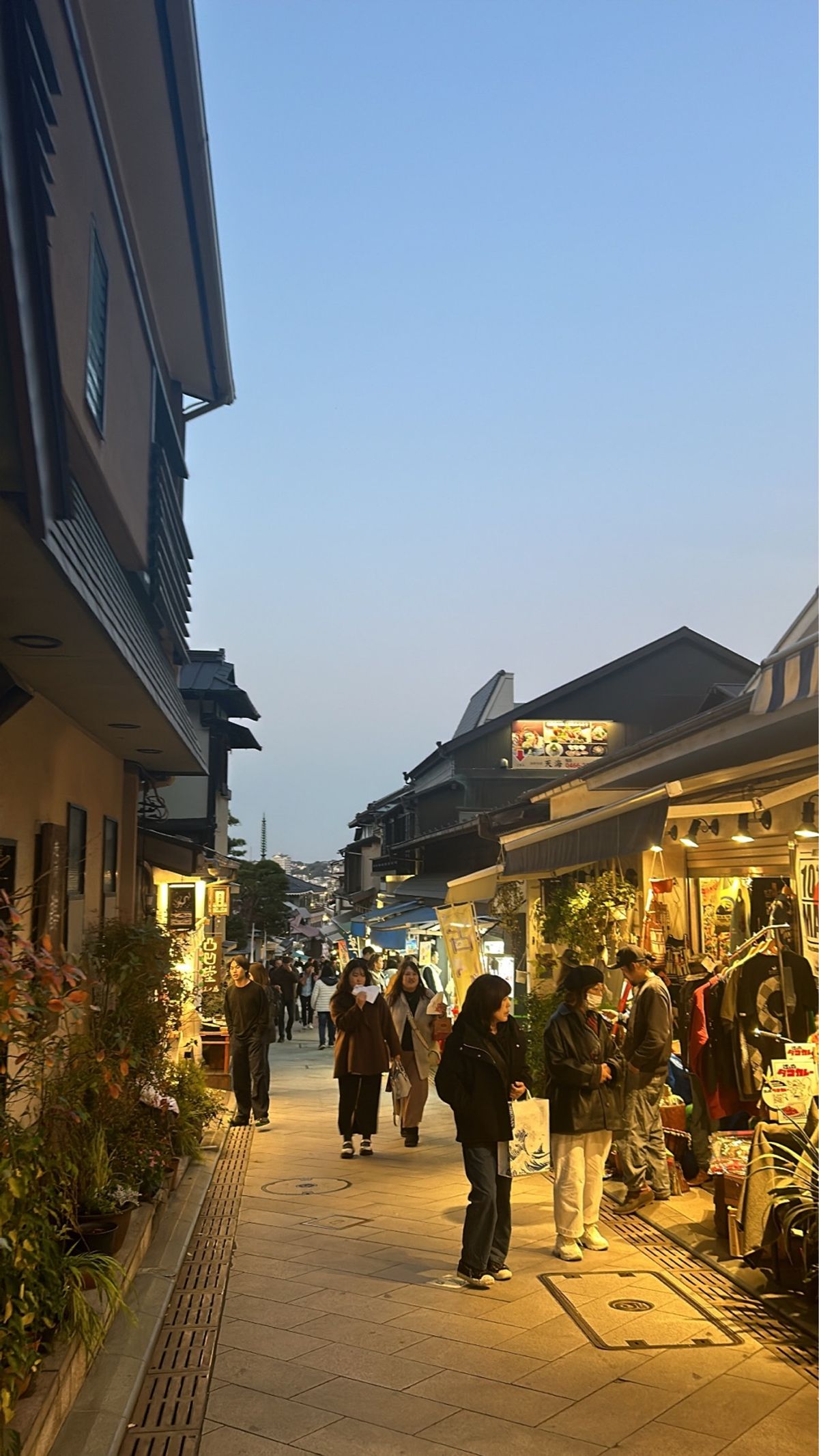 人生初ひとり旅✈️