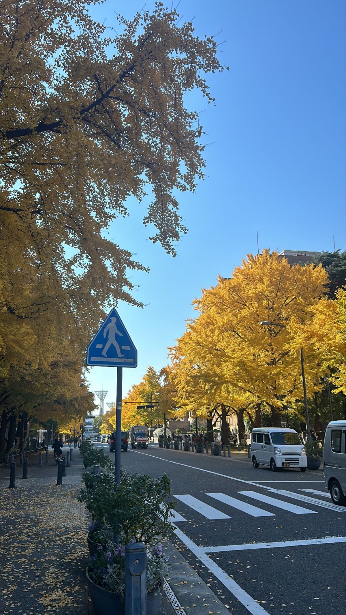 人生初ひとり旅✈️