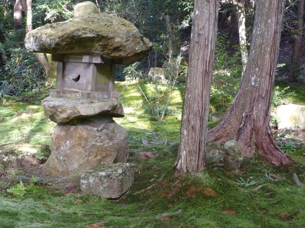 日本・京都府「京都　家族旅行」の写真