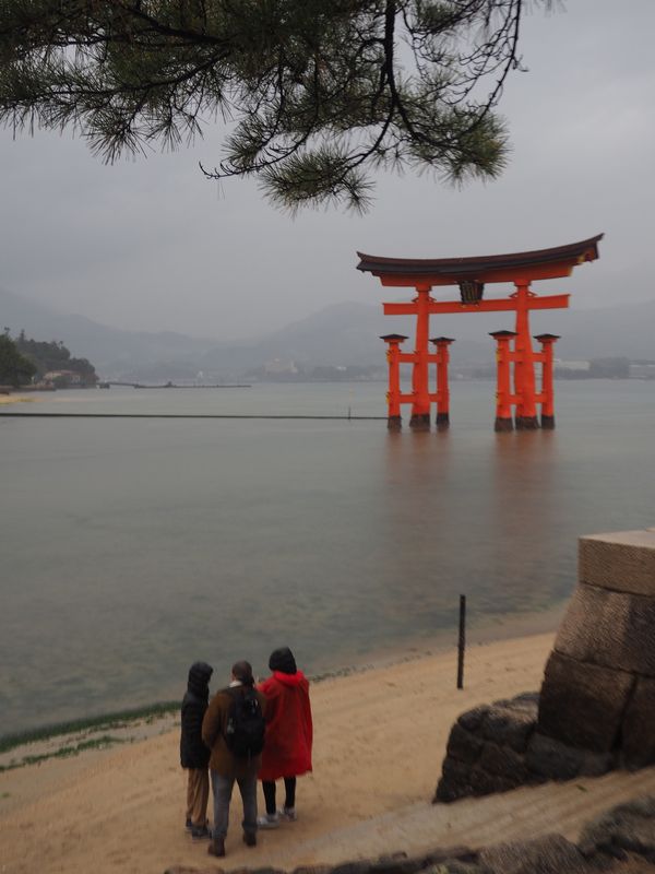 日本・宮島「広島、宮島旅行」の写真：干潮なのに雨ひどすぎて笑
