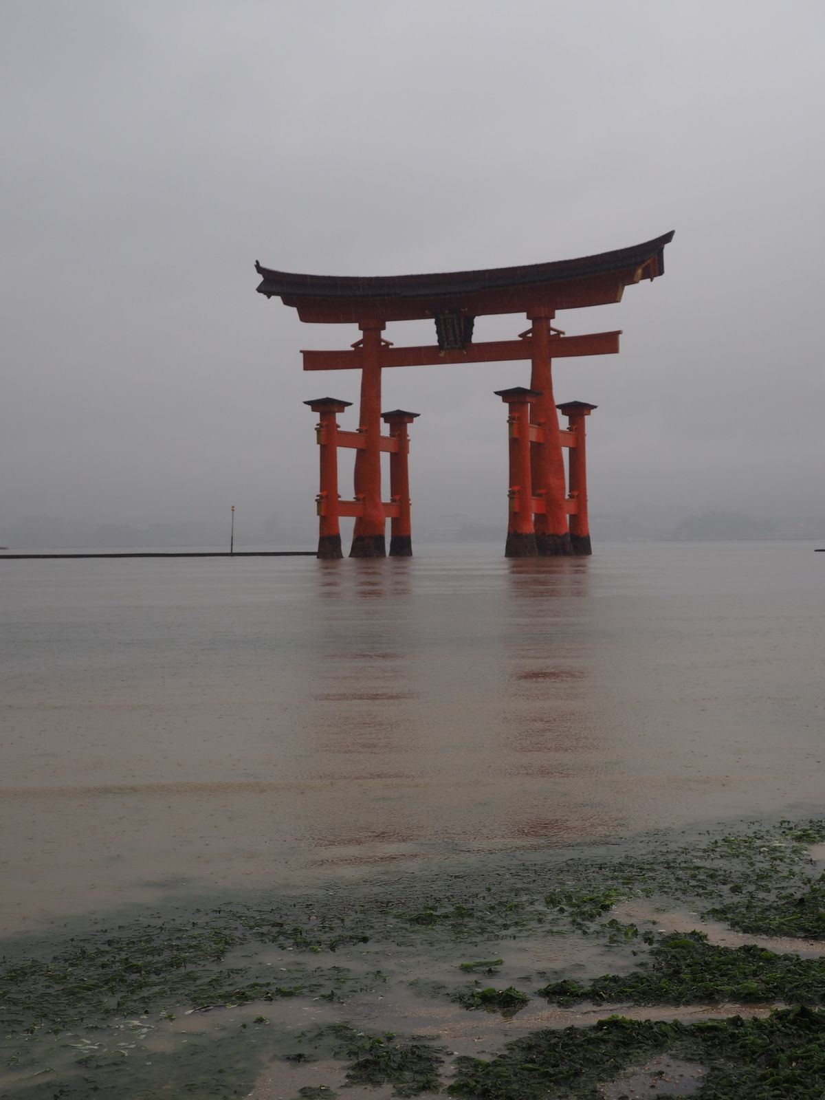 干潮なのに雨ひどすぎて笑