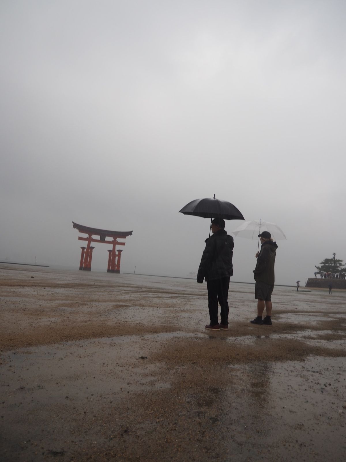 干潮なのに雨ひどすぎて笑