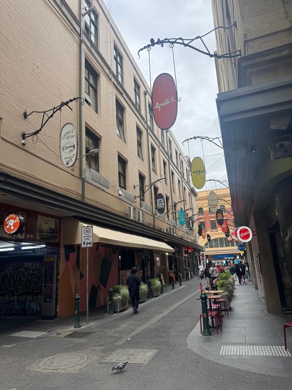 オーストラリア連邦・メルボルン「動物旅」の写真：久々に都会を感じた。
路地が良い