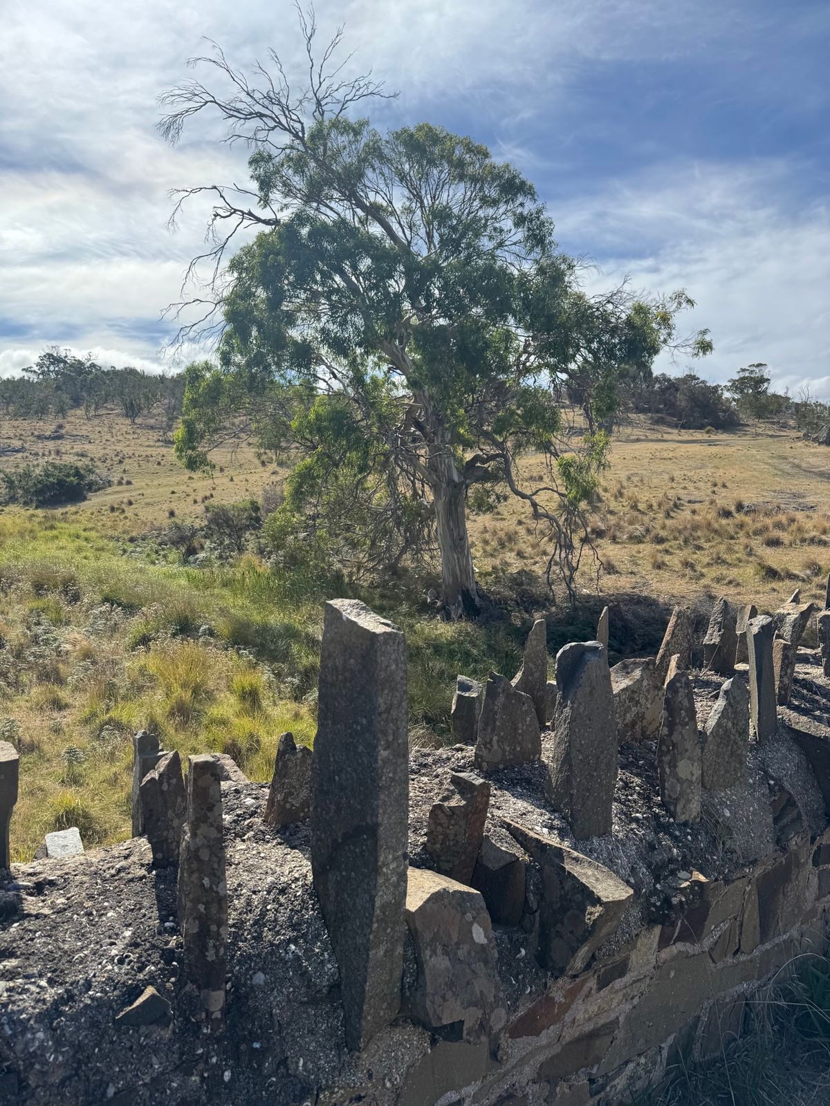 囚人たちに作らせた橋、とか