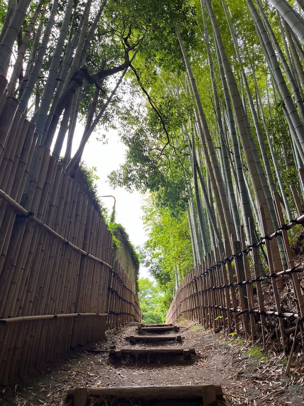 日本・千葉県「ひよどり坂」の写真