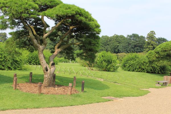日本・茨城県「水戸　偕楽園」の写真