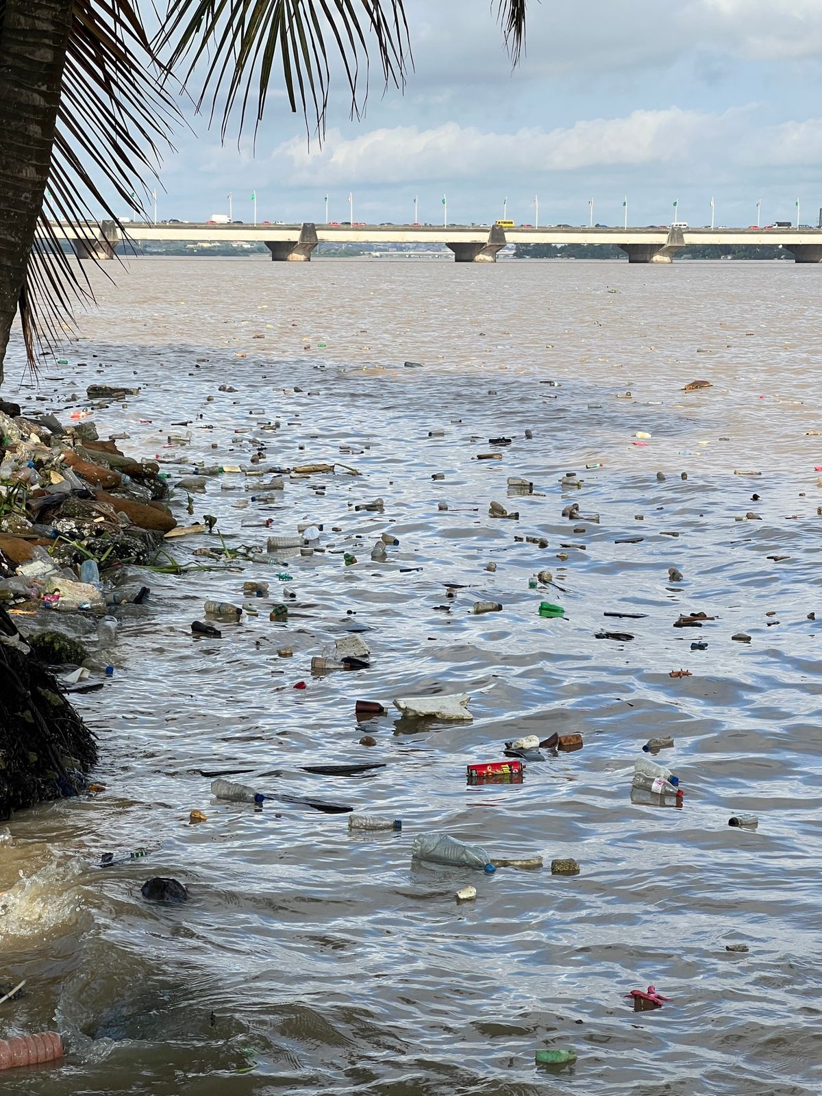 プラスチック汚染がひどすぎるアビジャンの海