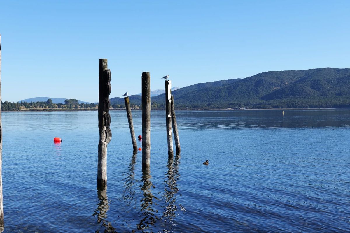 ミルフォードサウンド の玄関口
ここで一泊して朝イチででるのがお勧め