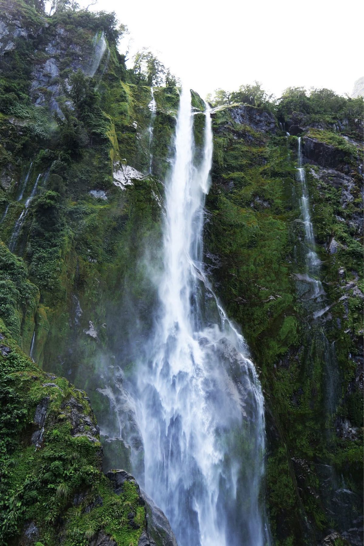 ミルフォードサウンドの