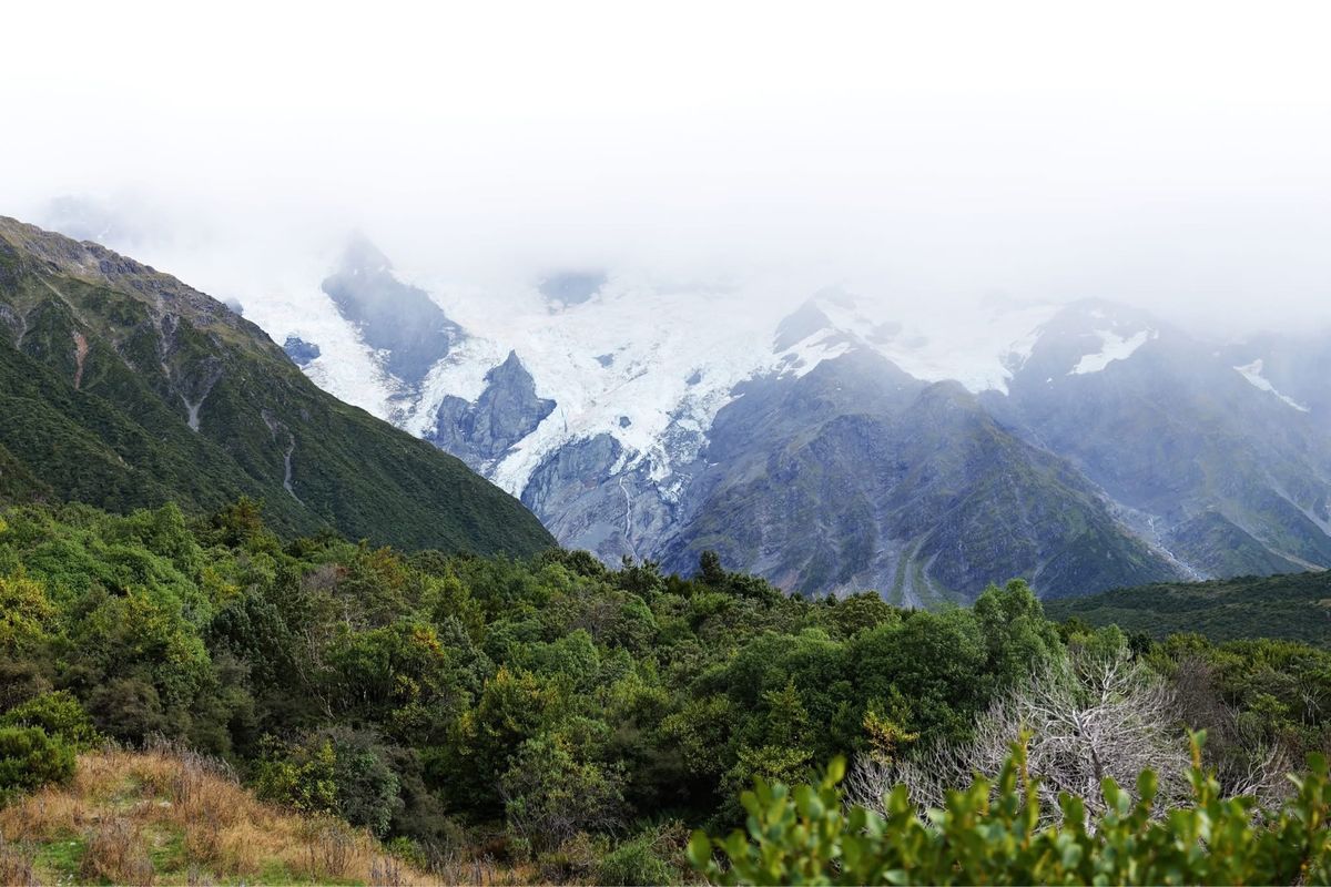 湖のボートツアー行く道のり