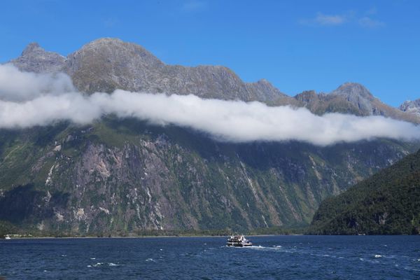 ニュージーランド・Christchurch「ニュージーランド旅行」の写真：ミルフォードサウンドの
