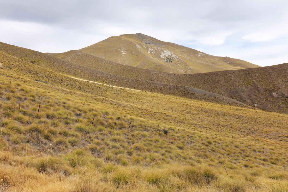 ニュージーランドのドライブ途中