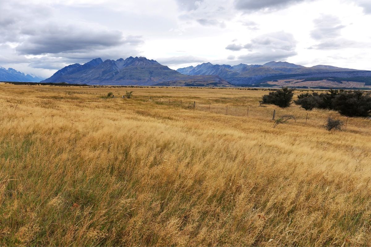 アオラキ マウントクック国立公園へ