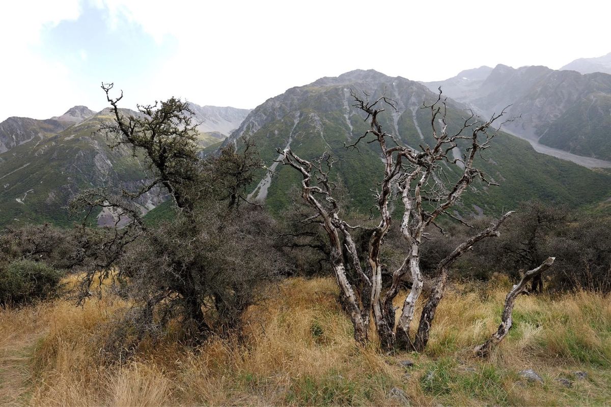 湖のボートツアー行く道のり