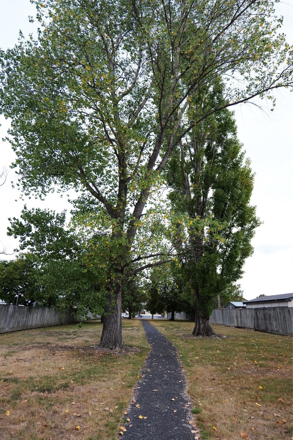 トワイゼルの町