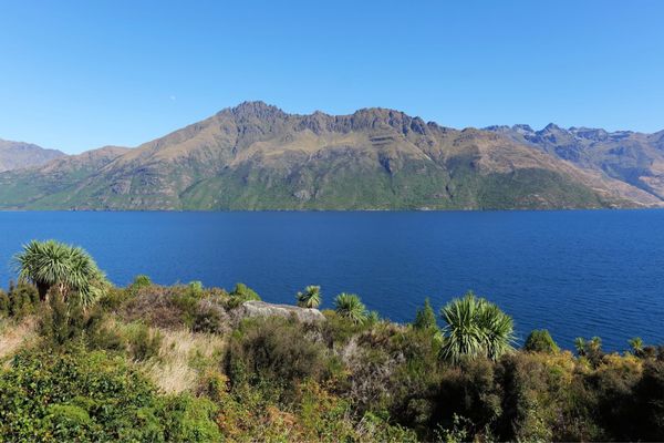 ニュージーランド・Christchurch「ニュージーランド旅行」の写真：クイーンズタウン近郊