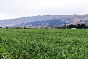 田舎の風景