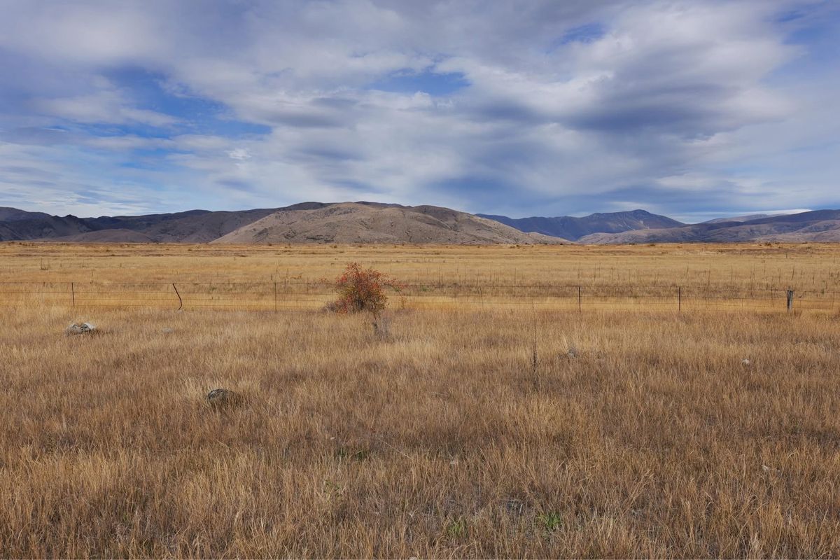 トワイゼルの町