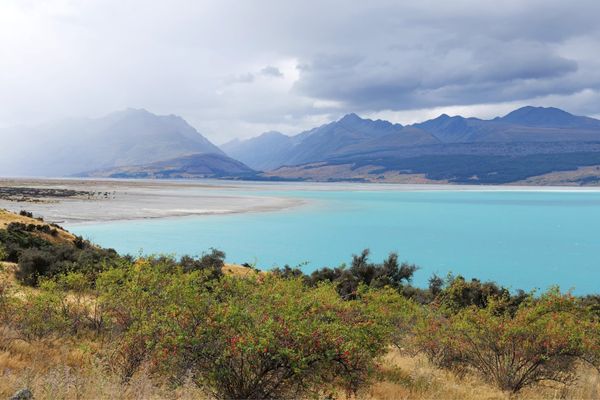 ニュージーランド・Christchurch「ニュージーランド旅行」の写真：プカキ湖