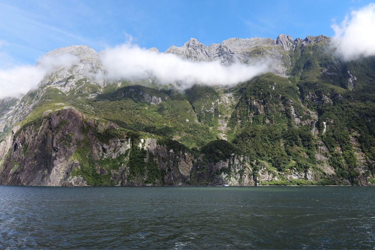 ミルフォードサウンドのクルージングは当日購入をお勧めします。事前予約は運転...