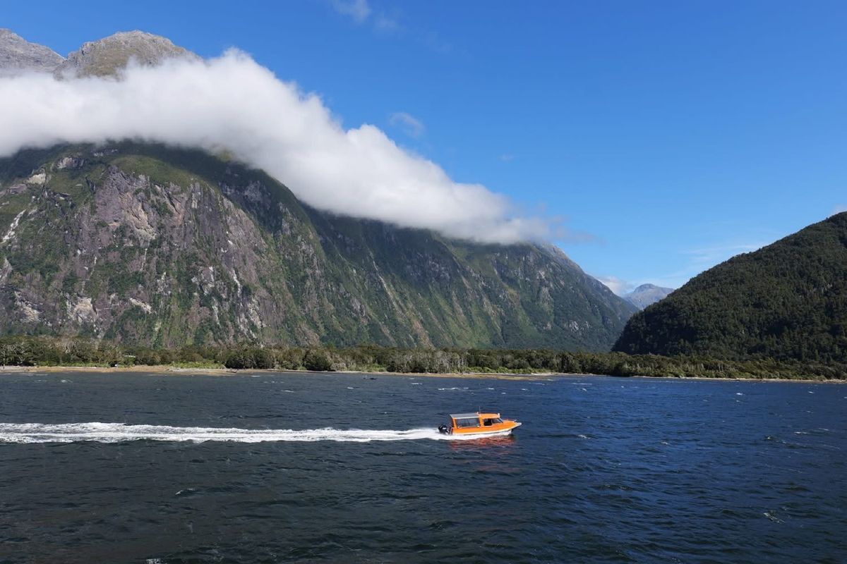 ミルフォードサウンドの