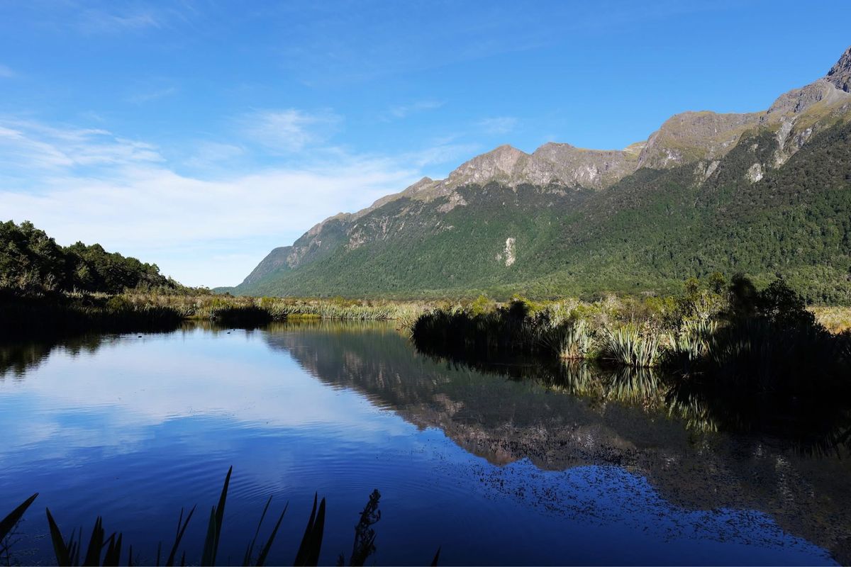 ミルフォードサウンド付近