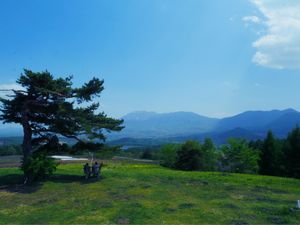 愛妻の丘