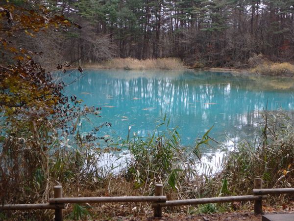 日本・福島県「福島旅行」の写真