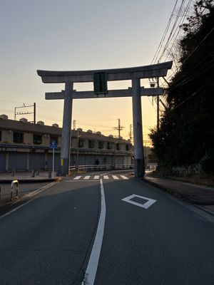 鳥羽