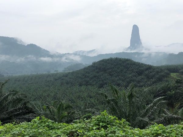 サントメ・プリンシペ「サントメ島の旅」の写真