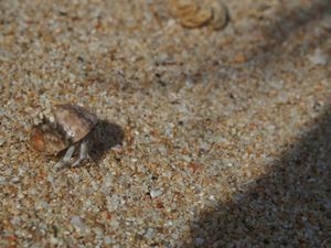 やっぱり海といえば沖縄だよな〜