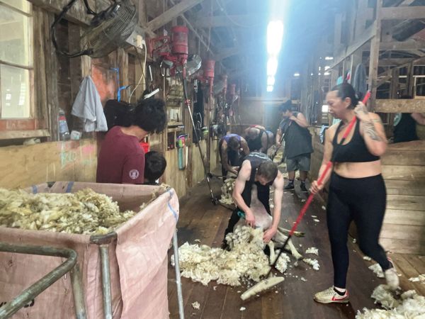 ニュージーランド・ロトルア「ニュージーランド」の写真