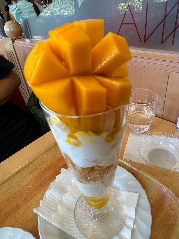 日本・福岡県福岡市「佐賀〜宮崎〜福岡〜山口」の写真