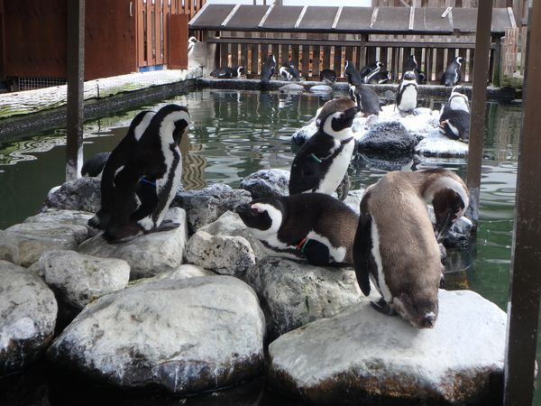 日本・熱海「熱海旅行」の写真