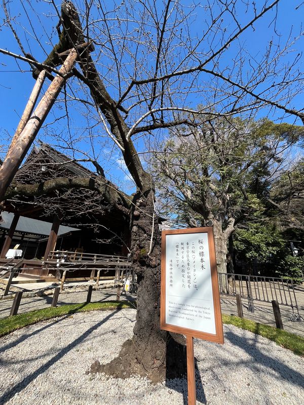 日本・東京都「東京旅行」の写真