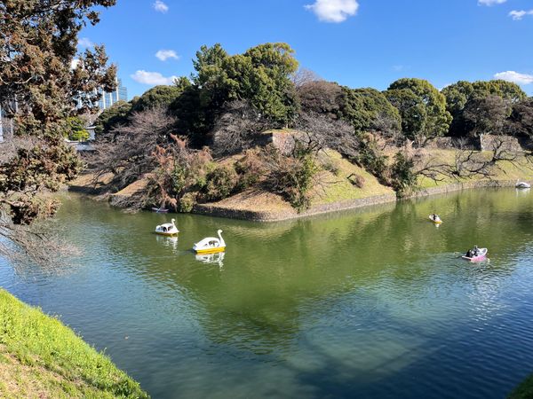 日本・東京都「東京旅行」の写真