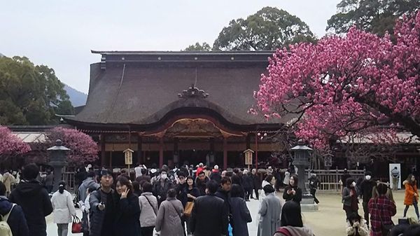 日本・福岡県「九州　福岡」の写真