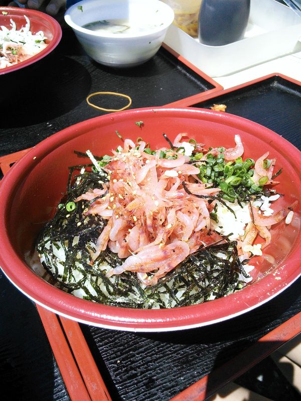 日本・静岡県「美保の松原」の写真