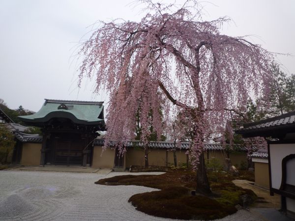 日本・京都府「京都」の写真