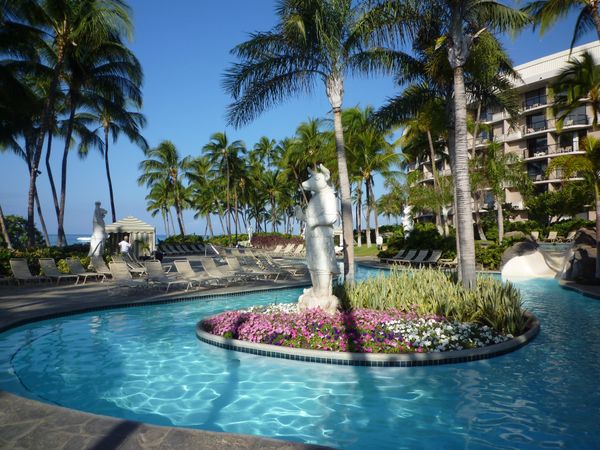 アメリカ(米国)・ハワイ島「ハワイ島」の写真