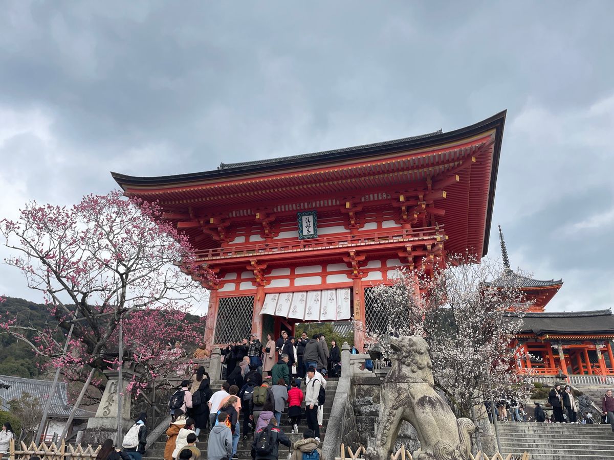 久しぶりに行った清水寺。やはりここはすごい人でした。